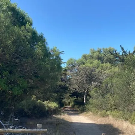 Maison Spacieuse A Barbatre, Proche Plage, Animaux Admis - Fr-1-823-108 Σπίτι διακοπών